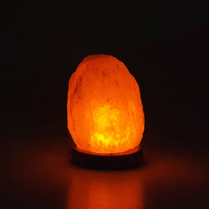 The Salt of Life - Himalayan Salt Lamp Natural USB